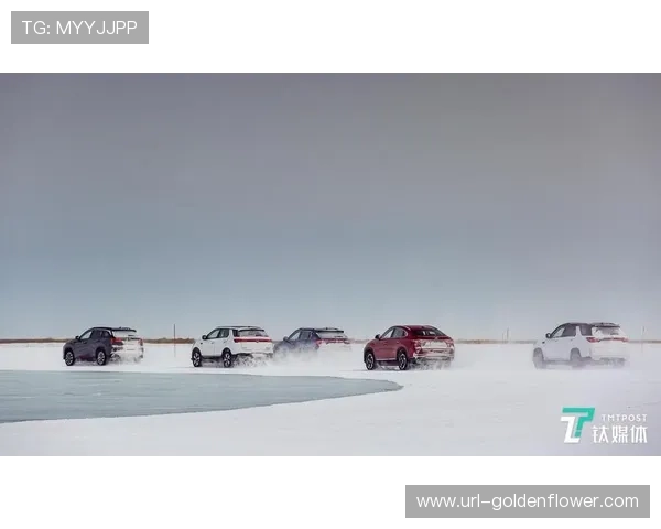 冰雪赛事医疗保障:极寒环境下的应急体系