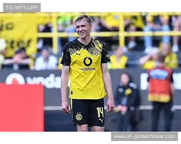 多特蒙德新援拜尔身披14号球衣,转会费达2850万欧元 多特蒙德新援拜尔身披14号球衣,转会费达2850万欧元